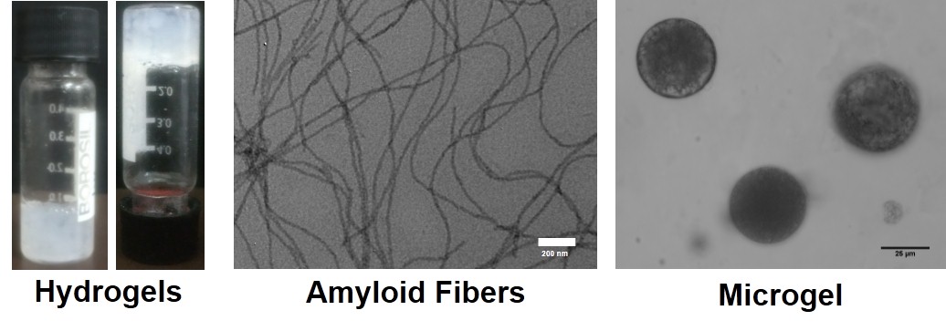 Amyloid microgels